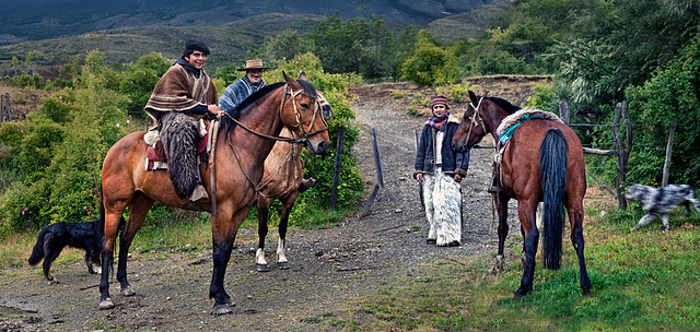 Gauchos