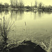 Ducks bathing /  Baignade de canards -  Hometown / Dans ma ville.  16 mars 2010.  Vintage