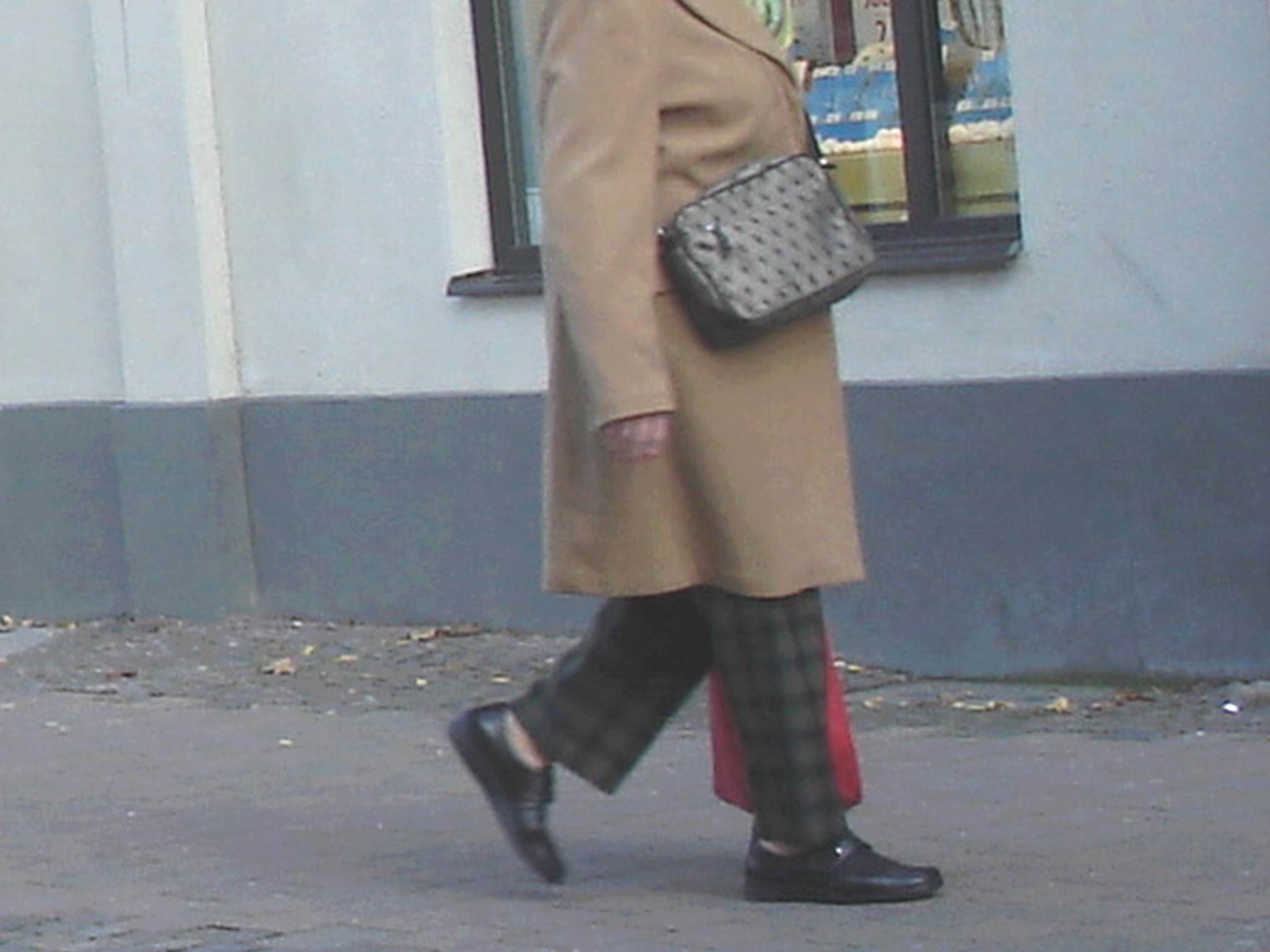 Guldfynd grey hair Swedish Lady on flats /   La Dame Guldfynd aux cheveux gris en talons plats - Ängelholm / Sweden - Suède.  23 octobre 2008