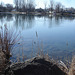 Ducks bathing /  Baignade de canards -  Hometown / Dans ma ville.  16 mars 2010 - Photo originale