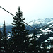 2005-03-03 75 monto Aineck, karintio, 2220 m