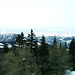 2005-03-03 73 monto Aineck, karintio, 2220 m