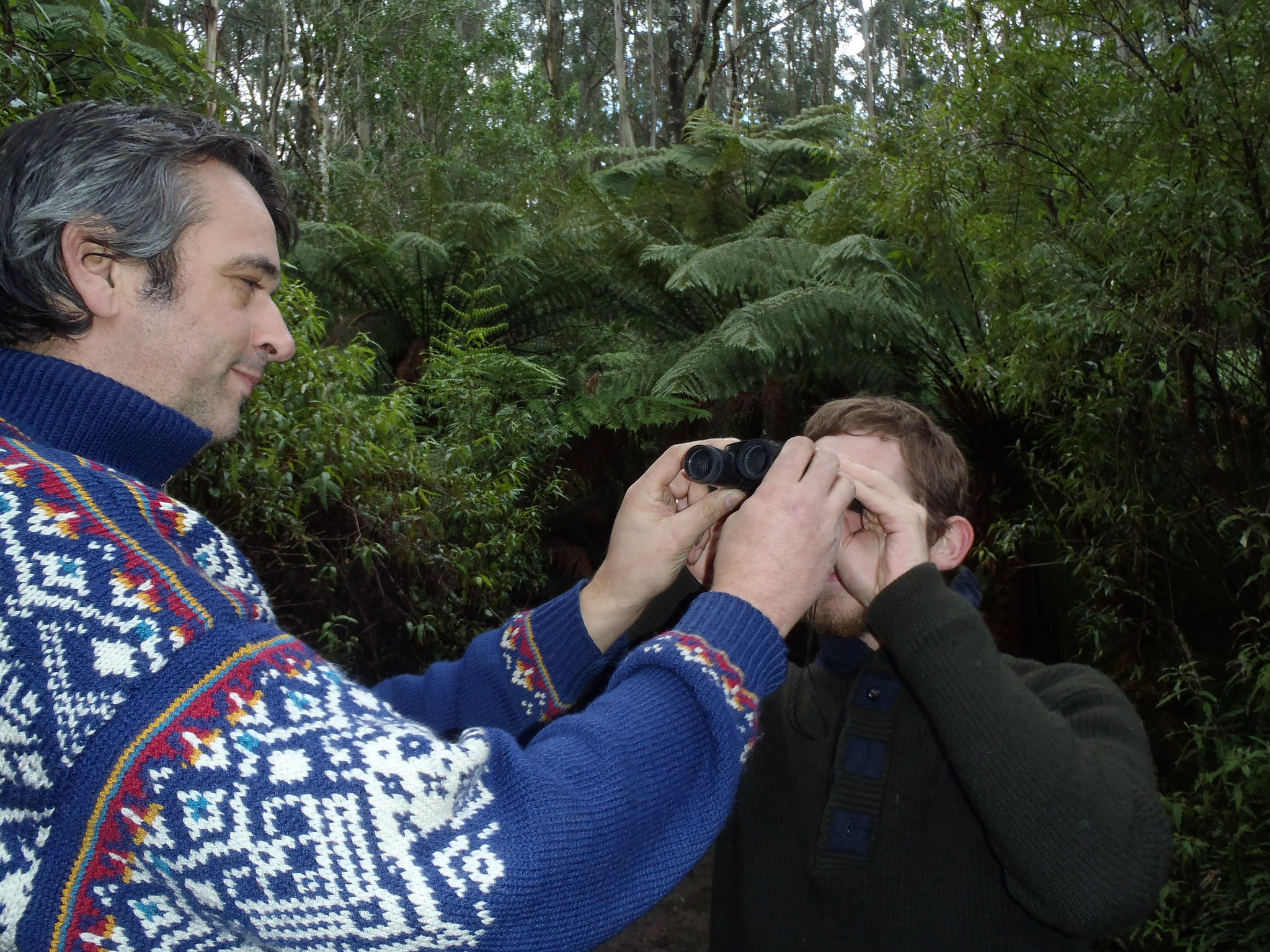 return to Tarra Bulga