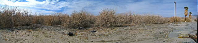 Citrus Grove (1)