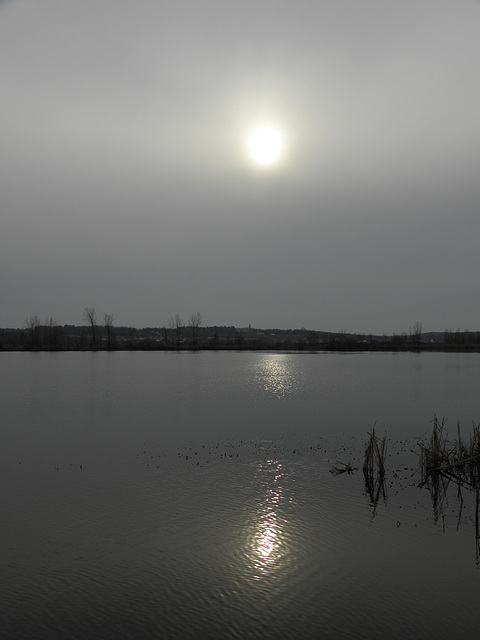 Petit reflet