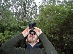 return to Tarra Bulga