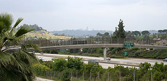 Standard L.A. View (6396)