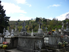 cimetière de Limoux