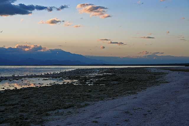 Salton Sea Sunset (4003)