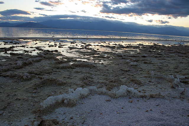 Salton Sea Sunset (4013)