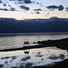 Salton Sea Sunset (4038)