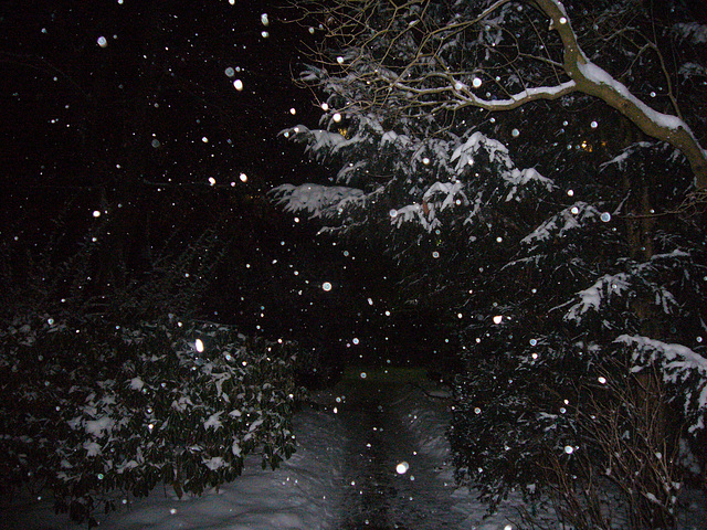 Schneefall im Morgengrauen