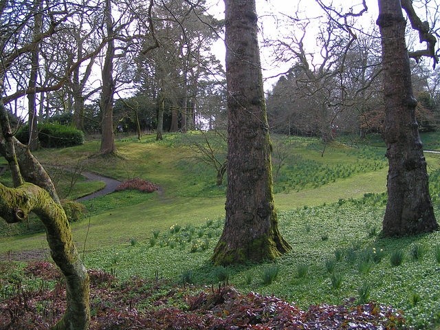 Dartington College Garten