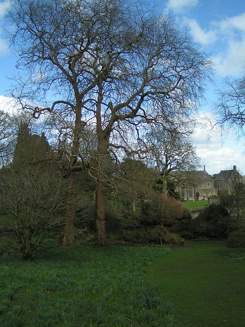 Dartington College Garten