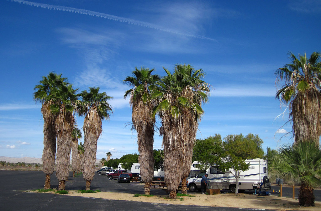 Salton Sea RVs (0712)