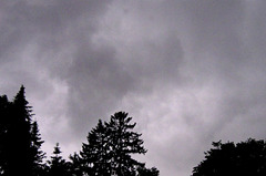 Looks Like Daytime...