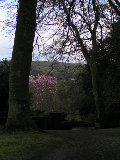 Dartington College Garten