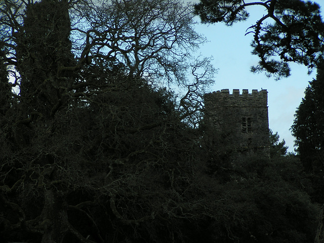 Dartington College