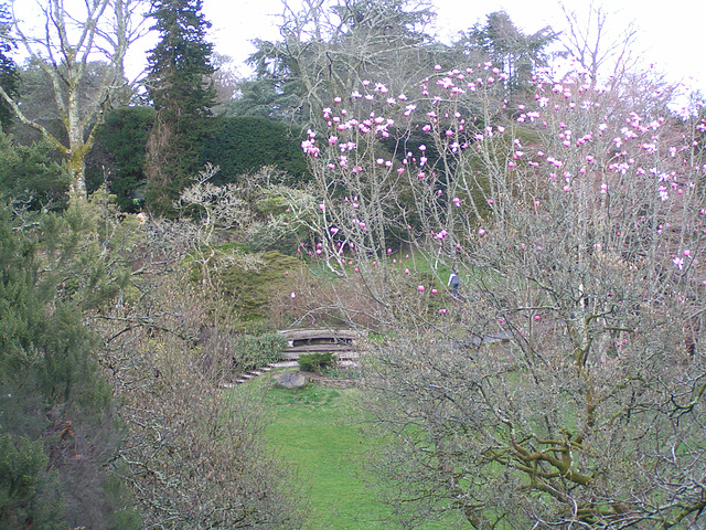 Dartington College Garten