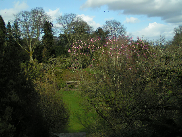 Dartington College Garten