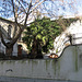 Benfica, old houses (16)