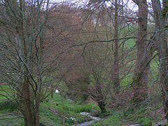 Dartington College Garten