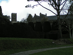 Dartington College