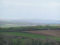 Devon