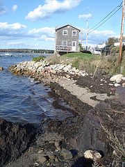 Potts Point - Harpswell. Maine USA 11-10-2009