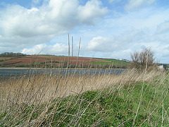 Slapton Sands