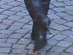 Dimani Swedish blond Lady in Dominatrix Boots /  Blonde suédoise en bottes à talons aiguilles -  Ängelholm / Suède - Sweden.   23-10-2008