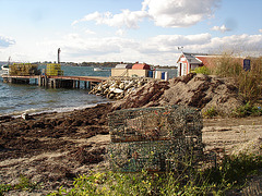 Potts Point - Harpswell, Maine / USA - 11 octobre 2009