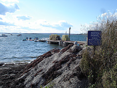 Potts Point - Harpswell. Maine USA 11-10-2009