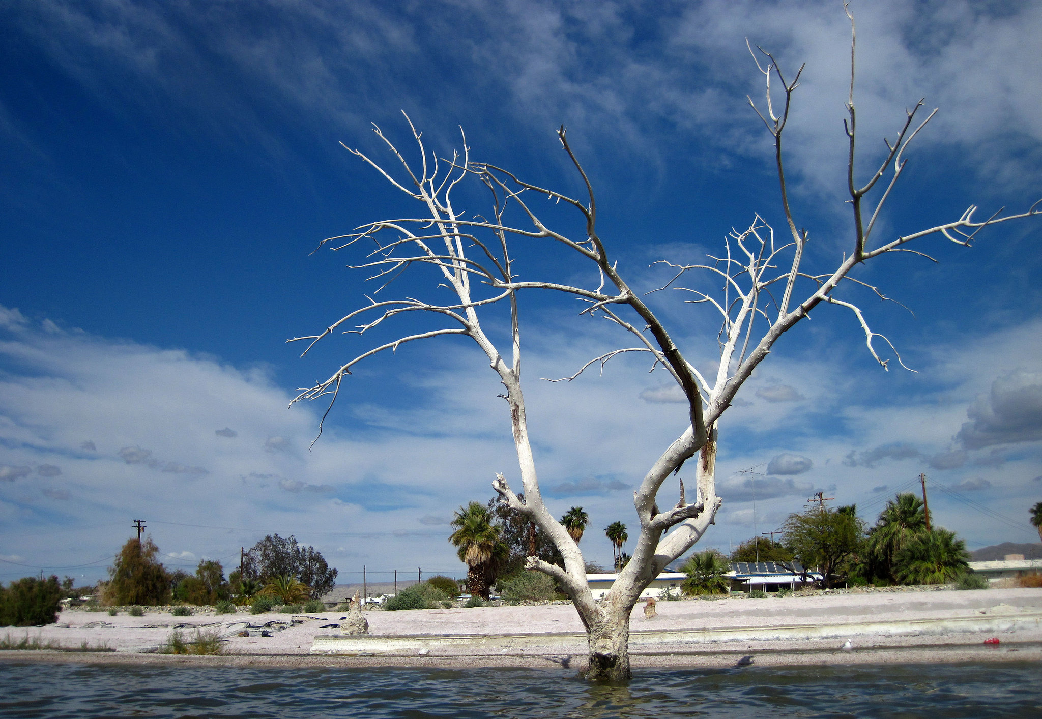 Kayaking On The Salton Sea (0736)