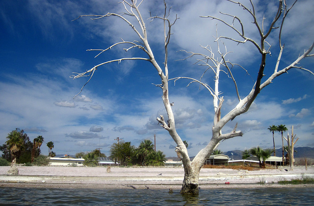 Kayaking On The Salton Sea (0737)