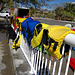 Kayaking On The Salton Sea (0793)