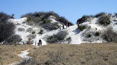 White Sands National Monument Nature Trail (6187)