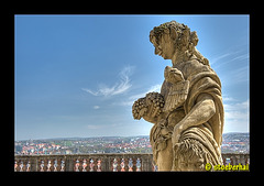 Festung Marienberg in Würzburg