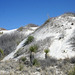 White Sands National Monument Nature Trail (6188)