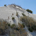 White Sands National Monument Nature Trail (6189)