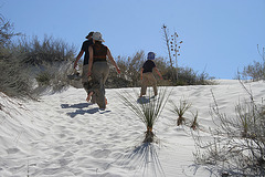 White Sands National Monument Nature Trail (6190)