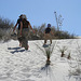 White Sands National Monument Nature Trail (6190)