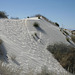 White Sands National Monument Nature Trail (6192)