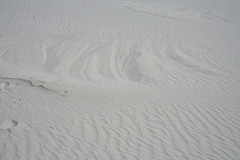 White Sands National Monument Nature Trail (6195)