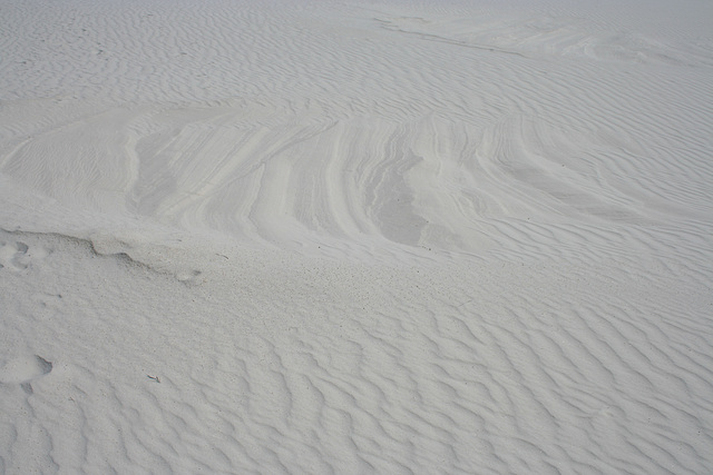 White Sands National Monument Nature Trail (6195)