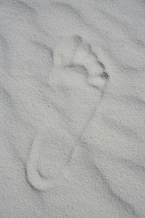 White Sands National Monument Nature Trail (6198)