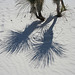 White Sands National Monument Nature Trail (6199)