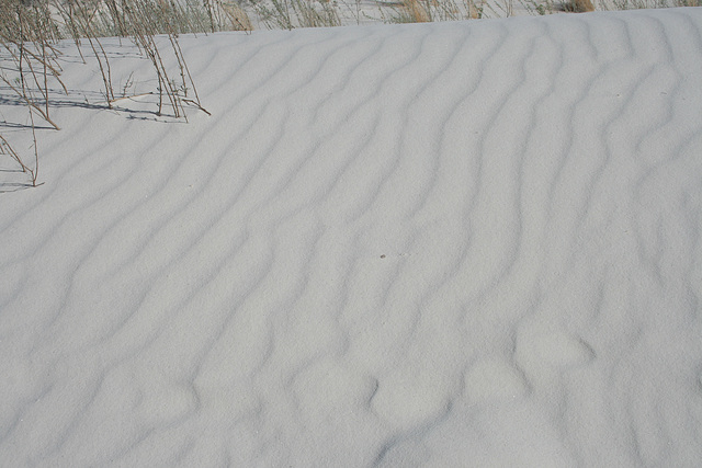 White Sands National Monument Nature Trail (6201)