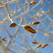 White Sands National Monument Nature Trail (6204)