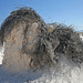 White Sands National Monument Nature Trail (6206)